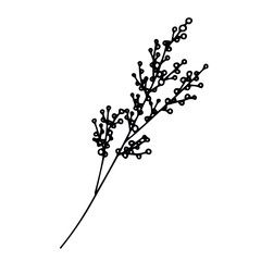 Vector Holiday twig. Illustration for invitation cards. Merry Christmas design for congratulations.