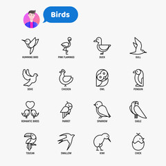 Birds thin line icons set: dove, owl, penguin, sparrow, swallow, kiwi, parrot, eagle, humming bird, pink flamingo. Modern vector illustration.