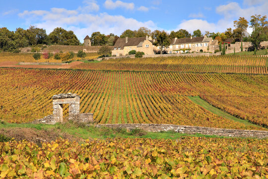 A clos in the Burgundy vineyard, Givry, France