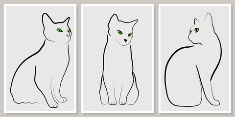 frames with minimalistic portraits of cats - for wall framed prints, canvas prints, poster, home decor

