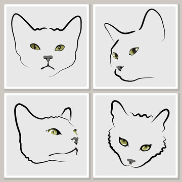 frames with minimalistic portraits of cats - for wall framed prints, canvas prints, poster, home decor
