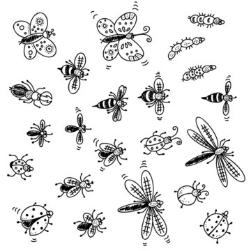 Insects doodle set, vector collection isolated on white background