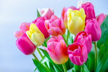 Mix of tulips flowers background
