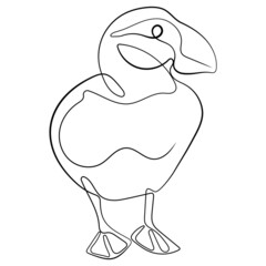 Duck in single line vector illustration isolated on white background. Puffin bird Logo. Best for background, tatto, logo identity.