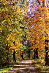 Herbst Wanderung 