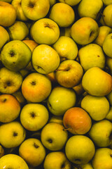 yellow apples for the whole frame