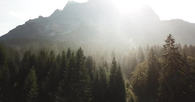 misty morning in the mountains, with sunlight and sunrays over autumn fall forest, drone perspective of trees in early light,
