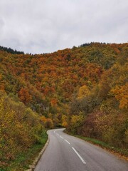 autumn in the mountains
