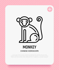 Cartoon monkey thin line icon. Modern vector illustration for Chinese horoscope.