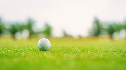 Golf ball on lip of cup close up, Golf ball on the lawn
