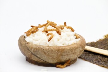 Healthy worms in white rice. Food of the future. The earthworms and tenebrio molitor are healthy and tasty. Today it is used primarily in Asian cuisines and by enthusiasts from the Western world.