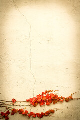 Old white/beige concrete wall with autumnal leaves, sepia background with scratches