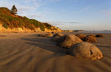 Fototapeta na wymiar A line of Moeraki Boulders sit on the beach in New Zealand's South Island.