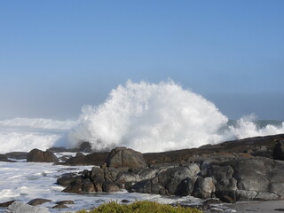 Namaqualand Road Trip 