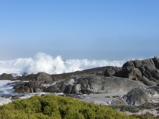 Namaqualand Road Trip 