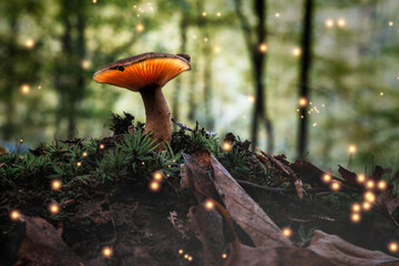 Glowing Mushroom
