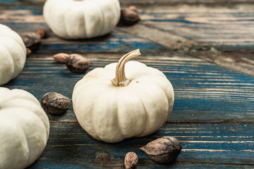 Minimalist Autumn flat lay with white pumpkins Baby Boo grade and different texture seeds