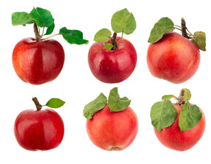 Set of fresh red apples with leaves