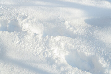 Deep footprints in white pure snow. Snowy winter, thick layer of snow after heavy snowfall.