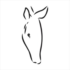 Armadillo cingulata animal sketch engraving vector illustration. T-shirt apparel print design. Scratch board imitation. Black and white hand drawn image.