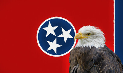 Bald eagle in front of the Tennessee flag - Digital painting