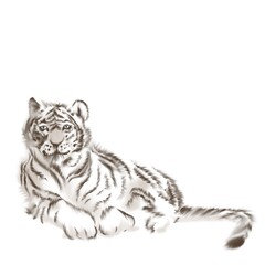 White tiger with blue eyes lying, watercolor isolated illustration