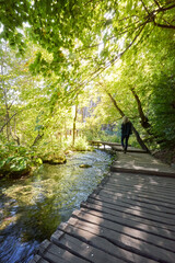 Obraz premium Plitvice Lakes National Park - One woman walking on wooden path