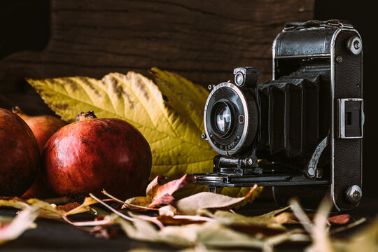 Vintage photo camera with dry leaves and pomegranate