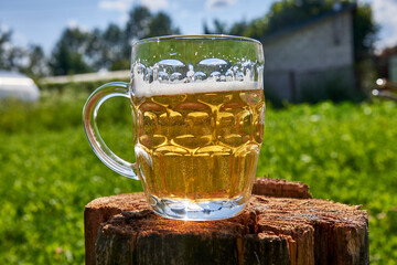 Mug of beer on the background of a rustic landscape