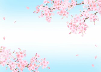 美しく華やかな桜の花と花びら舞い散る春の爽やか青空フレーム背景ベクター素材イラスト

