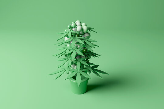 Three dimensional render of potted cannabis plant standing against green background