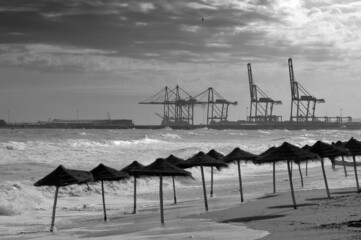 Scenic view of Malaga beach and port with tiki umbrellas captured in grayscale
