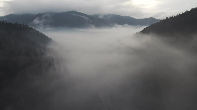 Drone flight above the mountains. Winter forest. Pine trees. Misty mountains. Mountains drone aerial footage. Epic view. Winter mountain view from above. Travel. Winter vacation. Treetops. Woodland