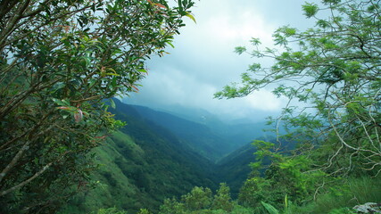 Go where you feel most alive,The mountains are calling