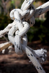close up of rope background