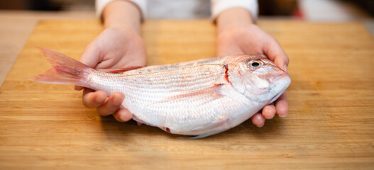鯛を持った子供の手