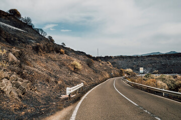 Highway crossing through area consumed by wildfire