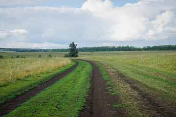 Fototapeta na wymiar Simple village dirt road in Russia