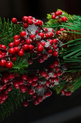 Fototapeta na wymiar Green spruce branch with red berries on a black background. Beautiful Christmas decor, vertical photography.