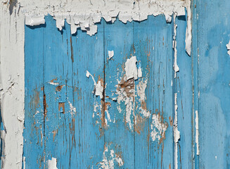 Aged blue and white cracked peeling paint Wood wall texture