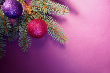 lilac and pink round shiny balls lie on a branch of a Christmas tree on a lilac background. top view. copy space