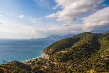 Obraz premium view of sea from small mountain top with olive trees and grass at foreground