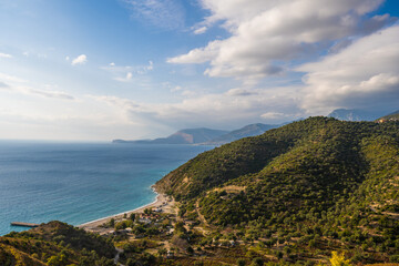 view of sea from small mountain top with olive trees and grass at foreground