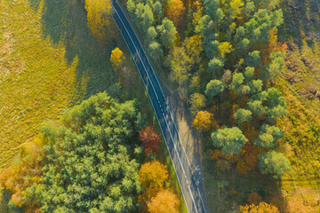 Asfaltowa droga w mieszanym, liściasto iglastym lesie. Jest jesień, liście na liściastych drzewach i krzewach mają żółty i brązowy kolor. Zdjęcie z drona. - obrazy, fototapety, plakaty