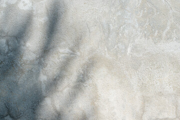 Fototapeta na wymiar Gray cement wall texture with beautiful abstract sunlight shadows.