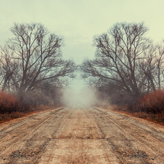 into the woods. mist way road to unknown through bare forest trees. deep autumn