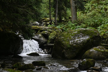 waterfall in the forest, water flows down the stones