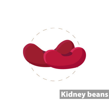 Red Kidney Bean Isolated Illustration On White Background. Red Kidney Bean Clipart. Red Kidney Bean Flat Icon.