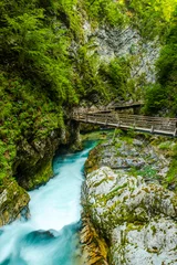 Foto op Canvas Turquoise Water in Vintgar Gorge in Slovenia. Europe Wild Landscape and Nature. © marcin jucha