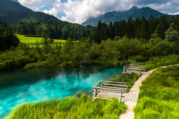 Zelenci Nature Reserve in Slovenia. Alpine Pond in Kranjska Gora